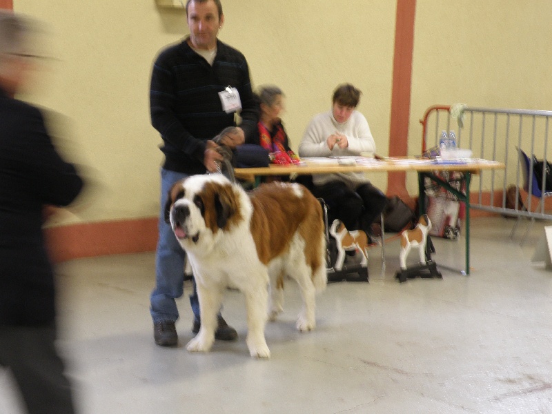 VALENCE 2010